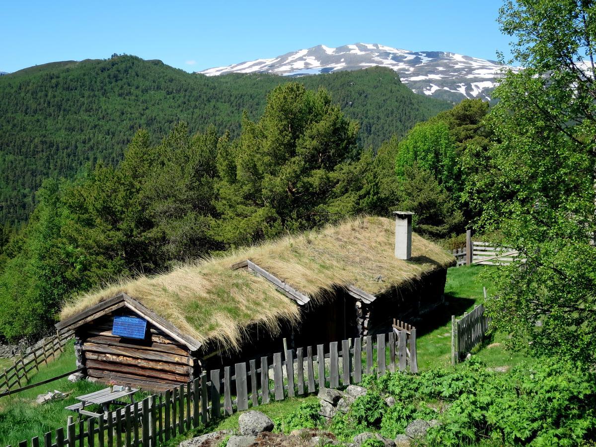 BoverdalenStrind Gard, Visdalssetra别墅 外观 照片
