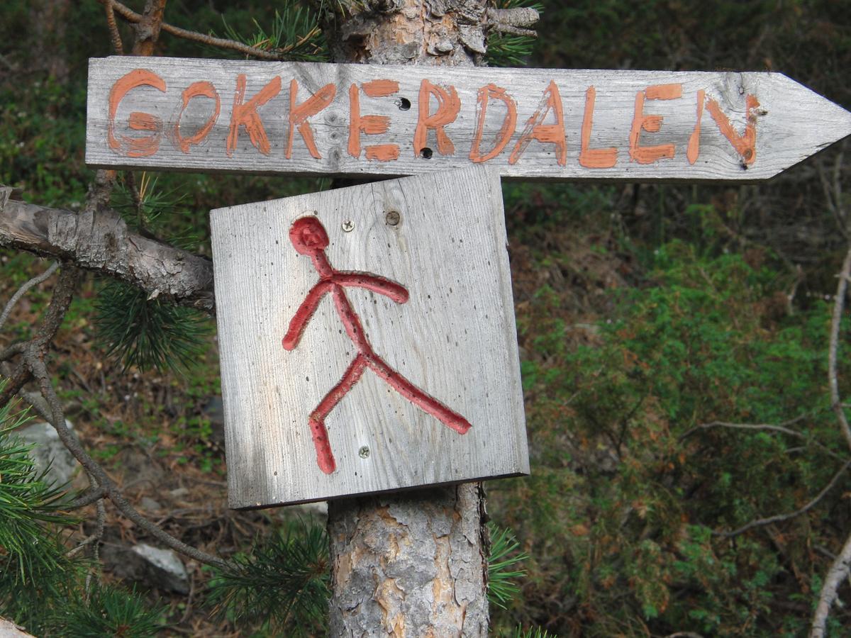 BoverdalenStrind Gard, Visdalssetra别墅 外观 照片